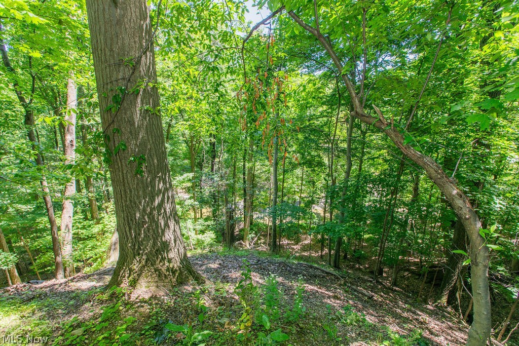 7165 Glencairn Drive Parma OH 44134