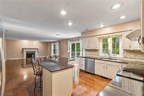 5825 Nicholson Drive Hudson OH 44236