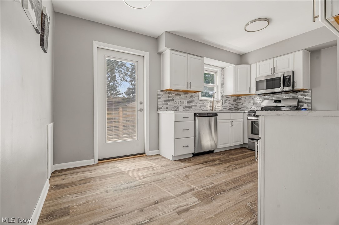 1666 Ridgeview Drive Wickliffe OH 44092