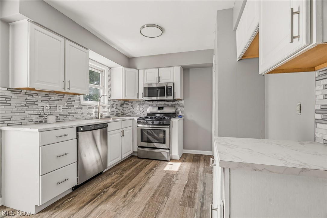 1666 Ridgeview Drive Wickliffe OH 44092