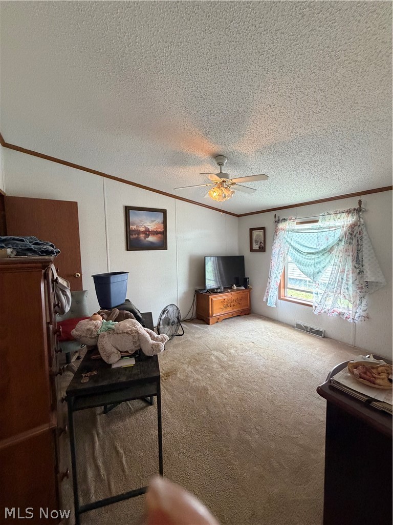 310 Poplar Street Newcomerstown OH 43832