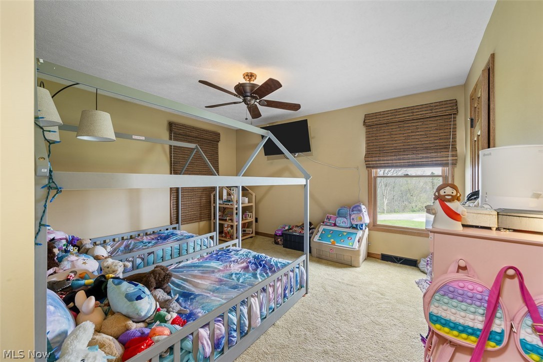 81910 Ourant Road Cadiz OH 43907