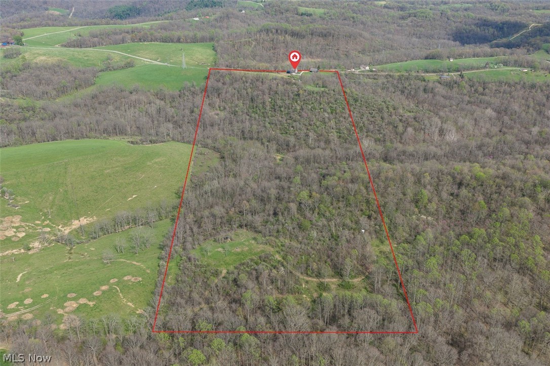 81910 Ourant Road Cadiz OH 43907
