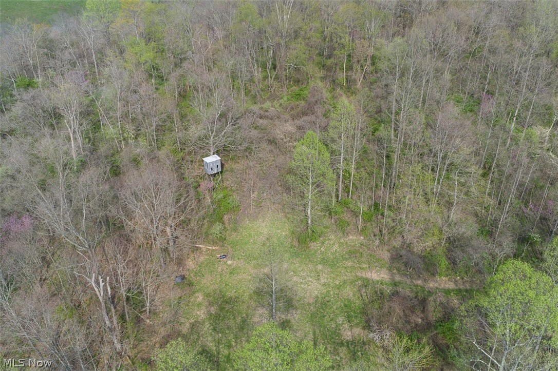 81910 Ourant Road Cadiz OH 43907