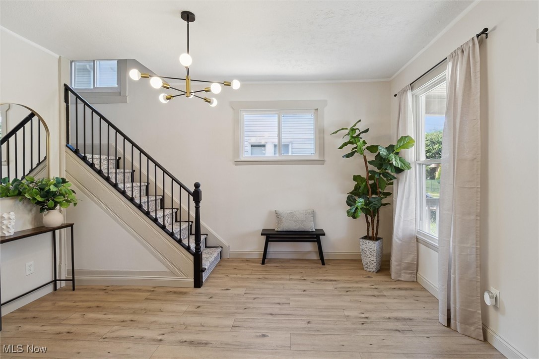 1426 W 84th Street Cleveland OH 44102