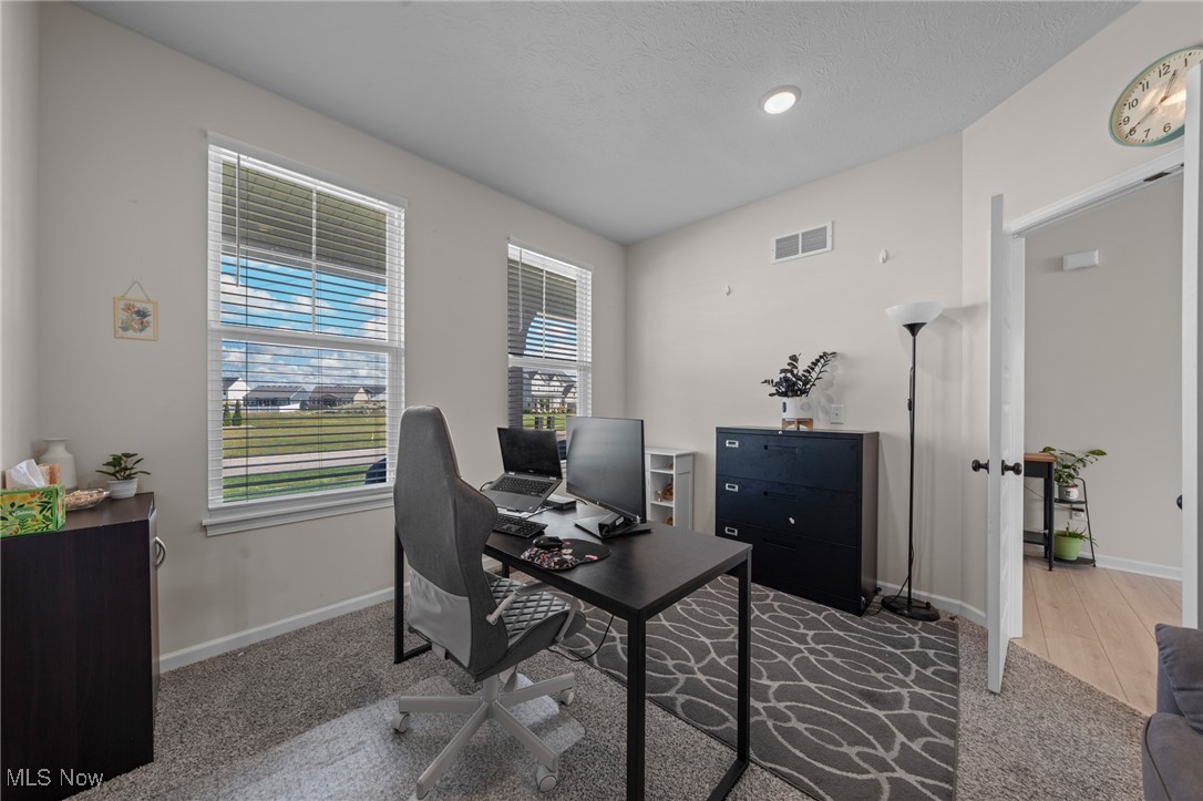 8924 Leatherleaf Drive Columbia Station OH 44028
