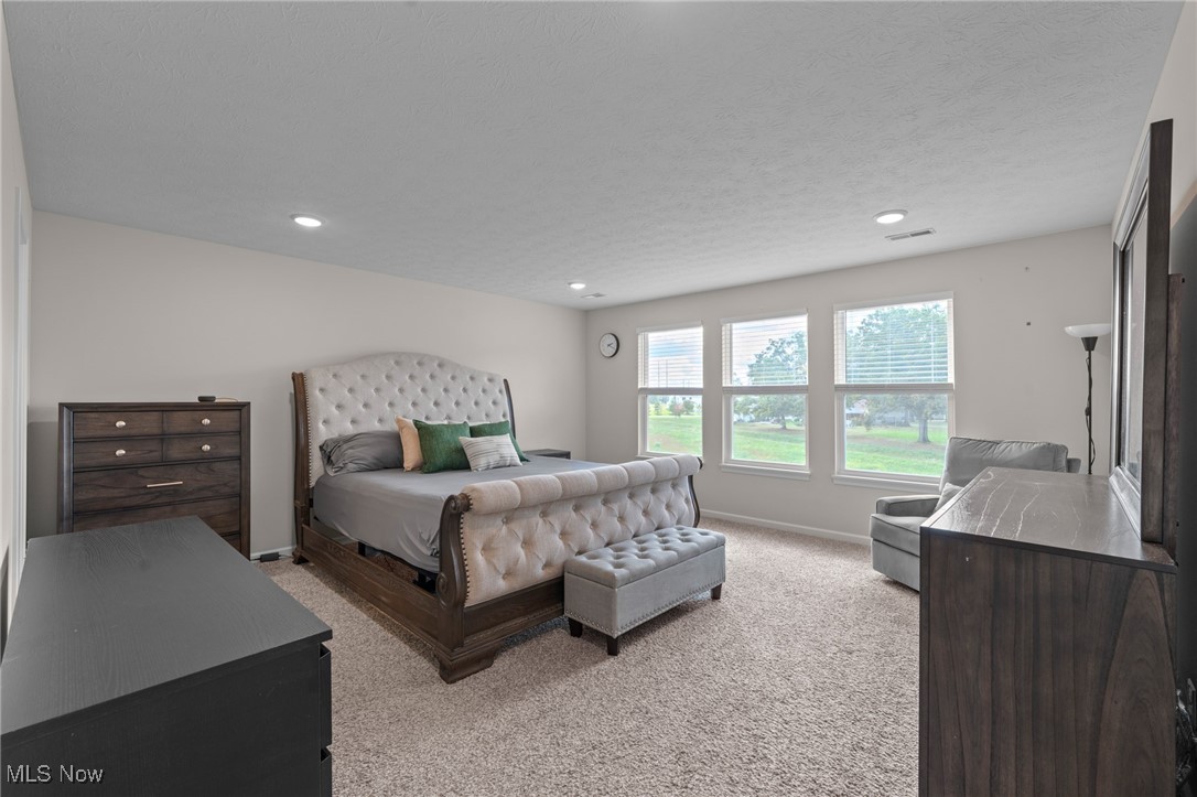 8924 Leatherleaf Drive Columbia Station OH 44028