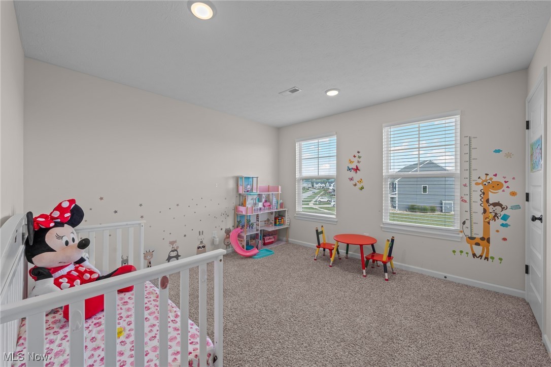8924 Leatherleaf Drive Columbia Station OH 44028