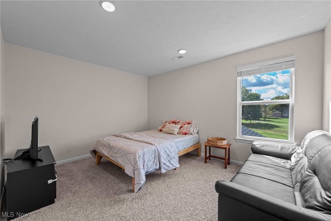 8924 Leatherleaf Drive Columbia Station OH 44028