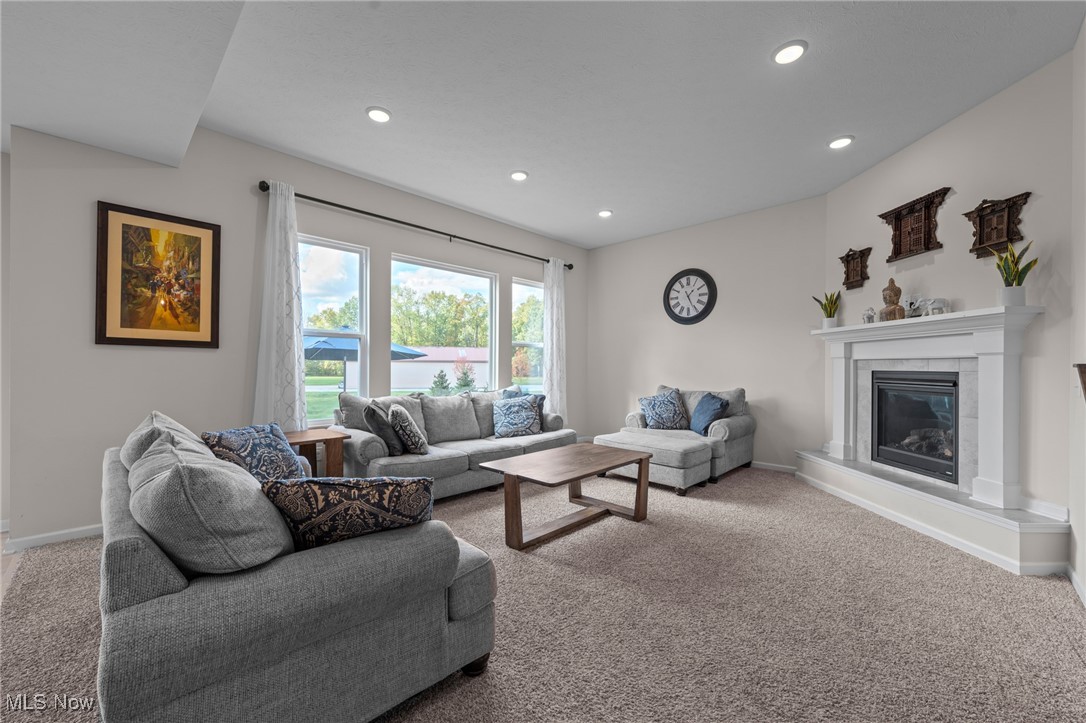 8924 Leatherleaf Drive Columbia Station OH 44028