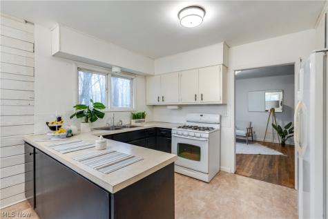1440 Treasch Drive Cuyahoga Falls OH 44221