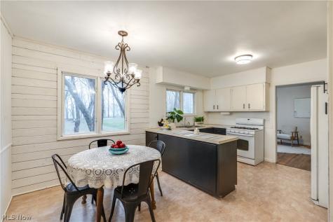 1440 Treasch Drive Cuyahoga Falls OH 44221