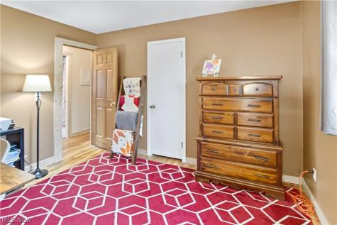 1445 Andrea Drive Brunswick OH 44212