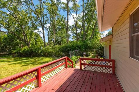 1445 Andrea Drive Brunswick OH 44212