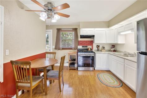 1445 Andrea Drive Brunswick OH 44212