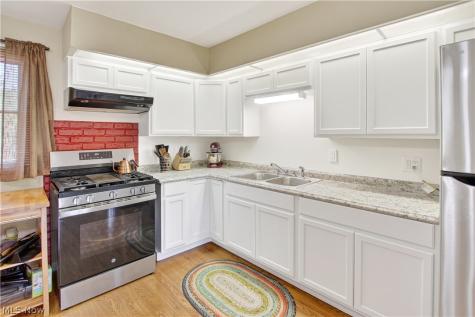 1445 Andrea Drive Brunswick OH 44212