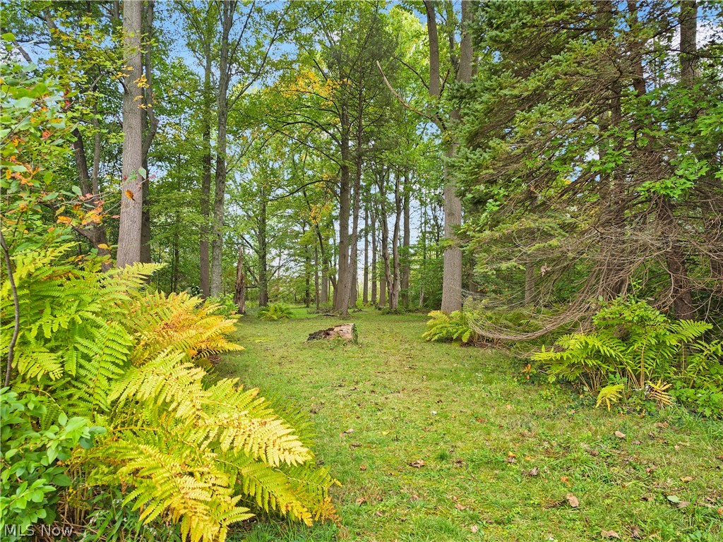 4605 New London Road Saybrook OH 44004
