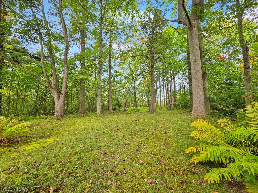 4605 New London Road Saybrook OH 44004