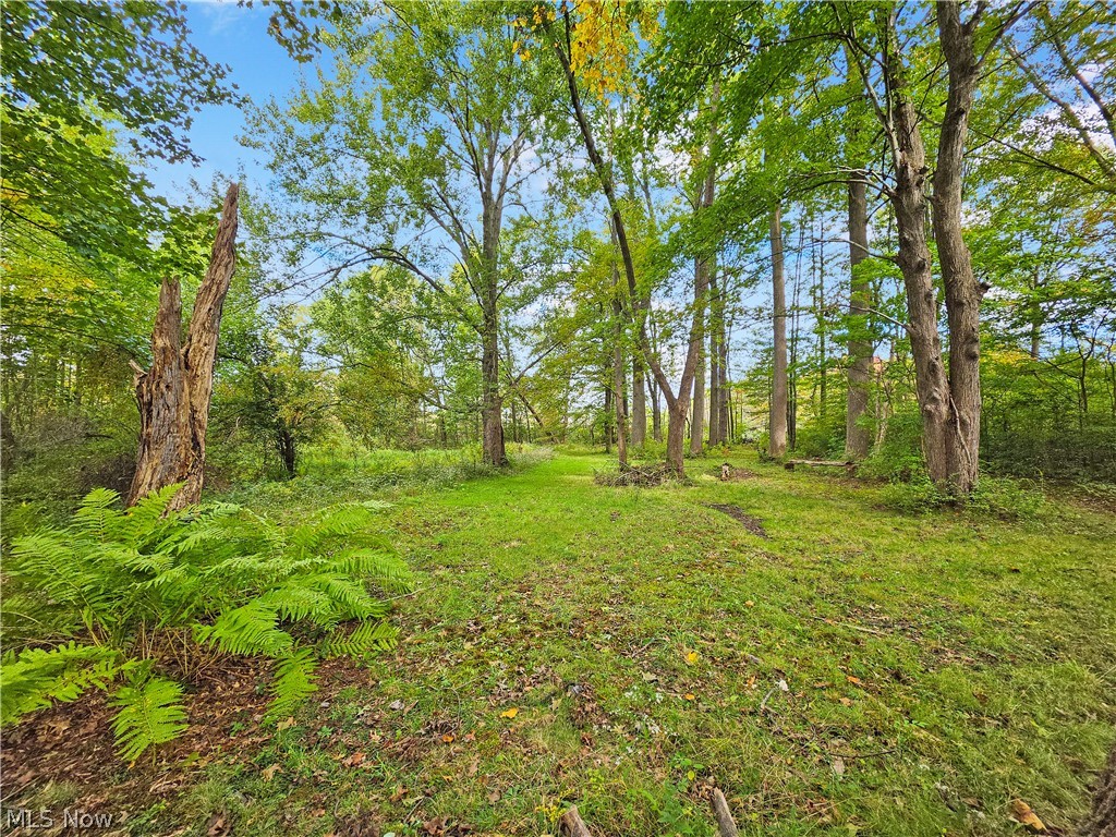 4605 New London Road Saybrook OH 44004