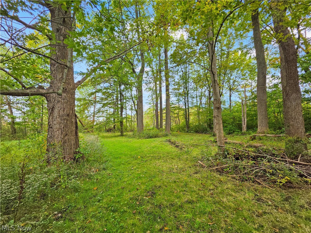 4605 New London Road Saybrook OH 44004