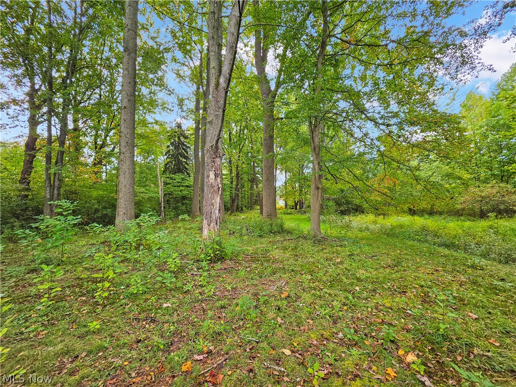 4605 New London Road Saybrook OH 44004