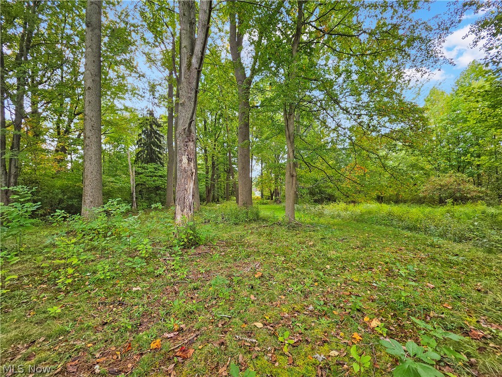 4605 New London Road Saybrook OH 44004
