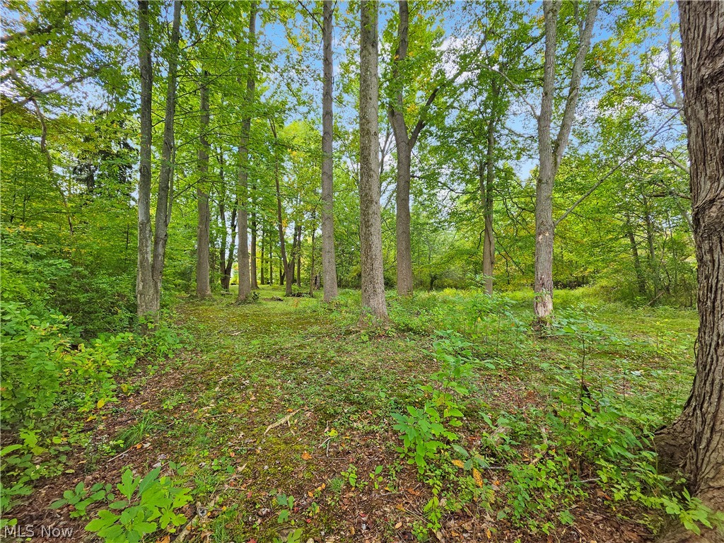 4605 New London Road Saybrook OH 44004