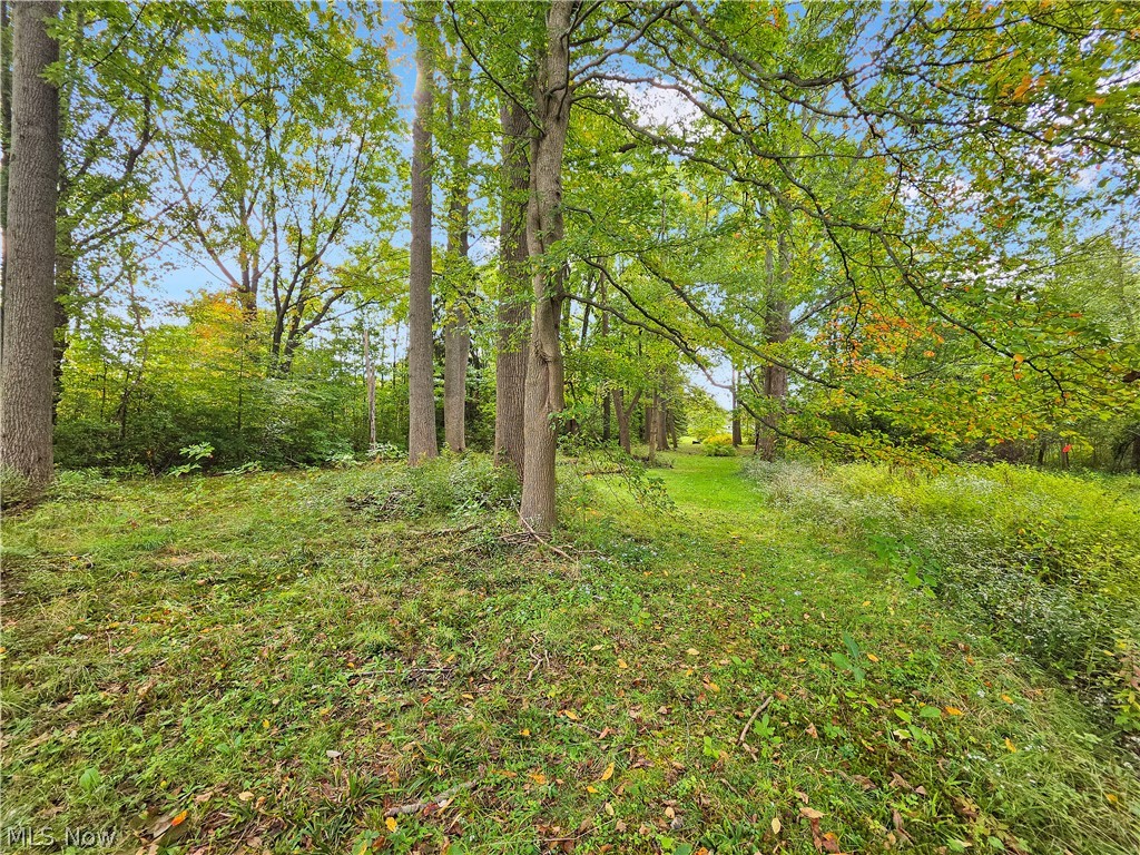 4605 New London Road Saybrook OH 44004