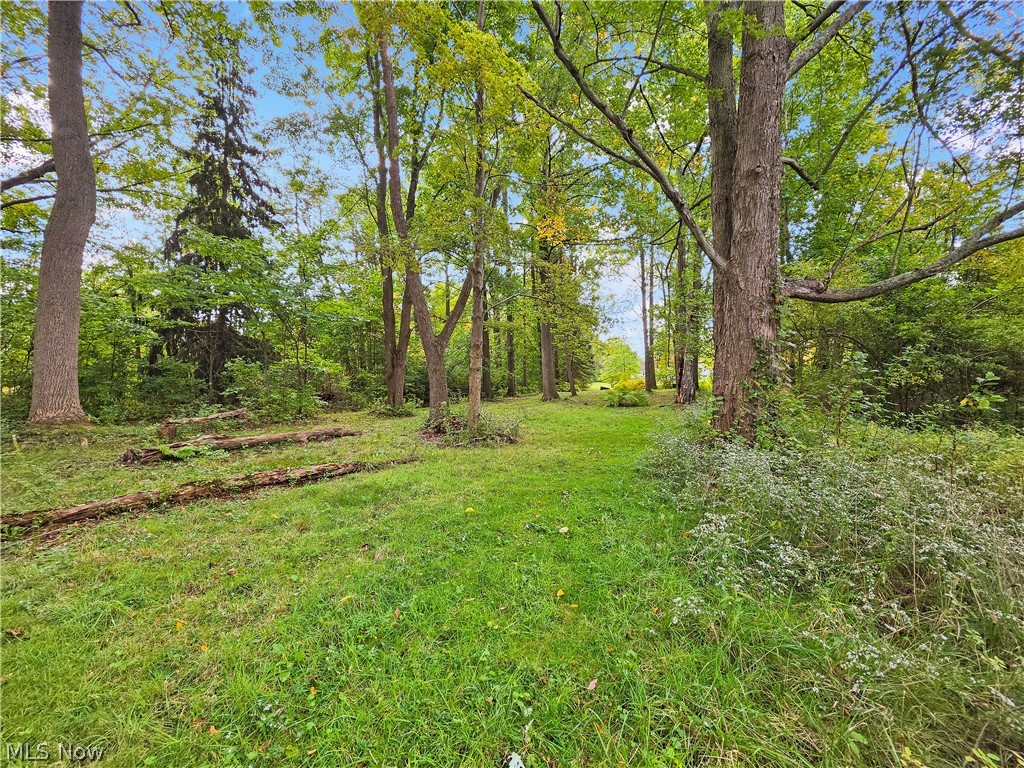 4605 New London Road Saybrook OH 44004