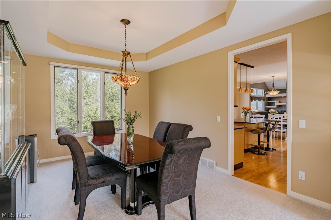 28495 Blue Pond Trail Solon OH 44139