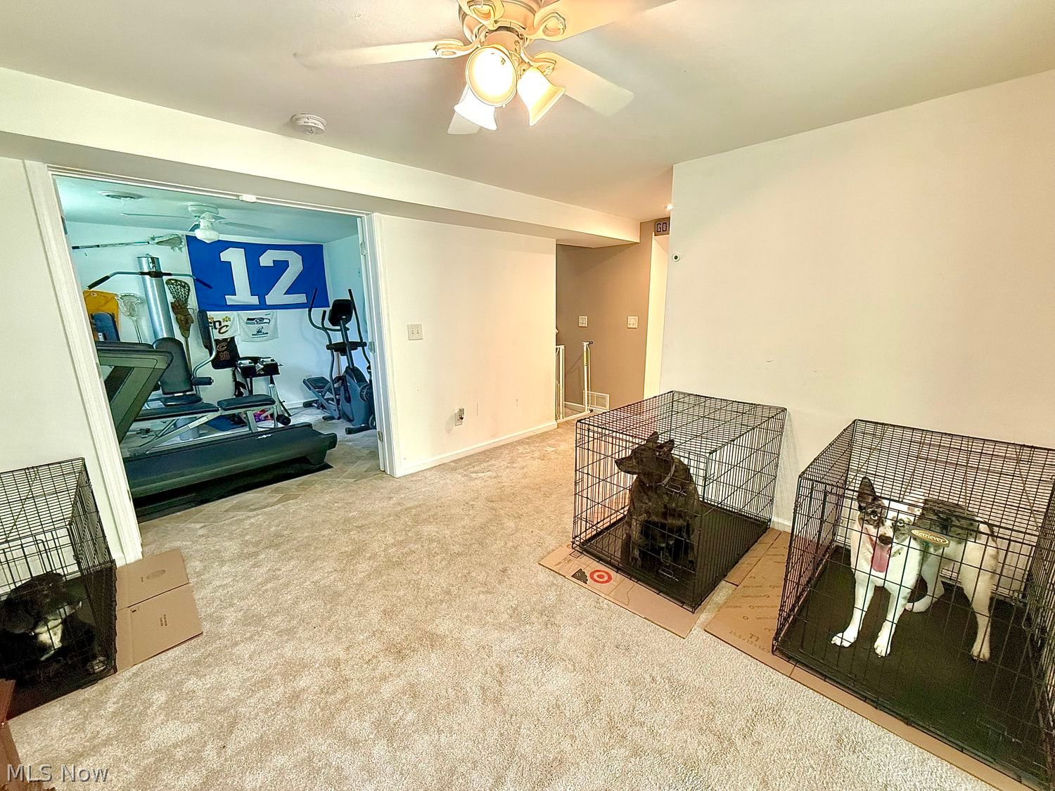 879 Kimberly Circle Oberlin OH 44074