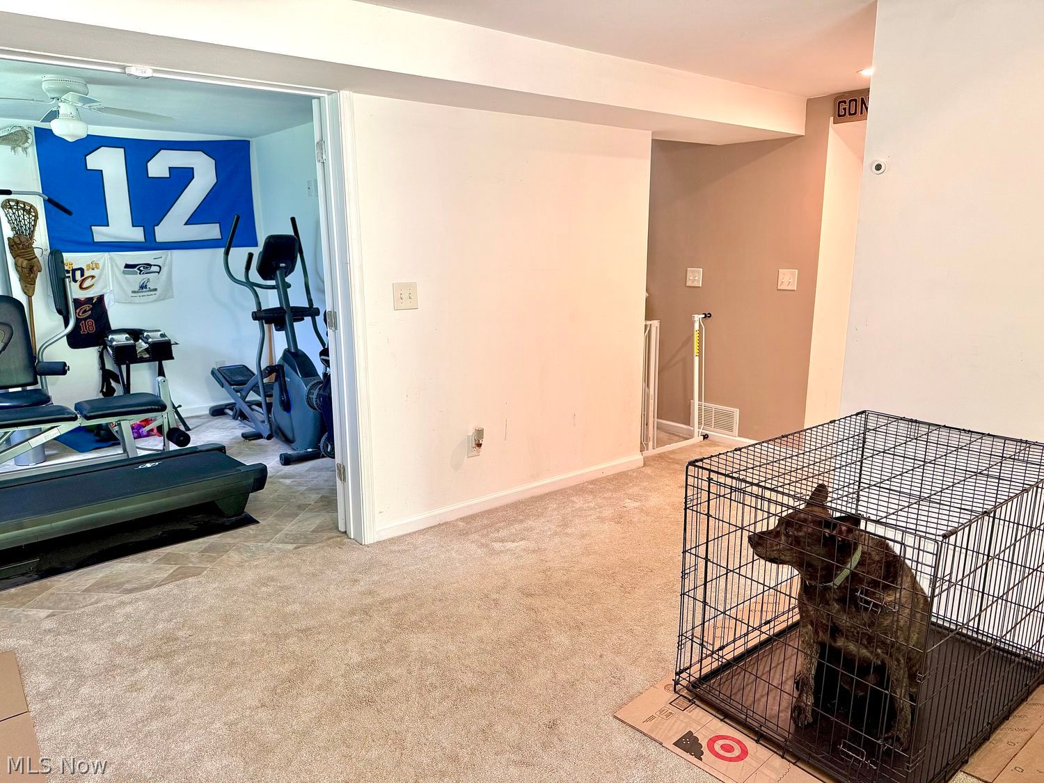 879 Kimberly Circle Oberlin OH 44074