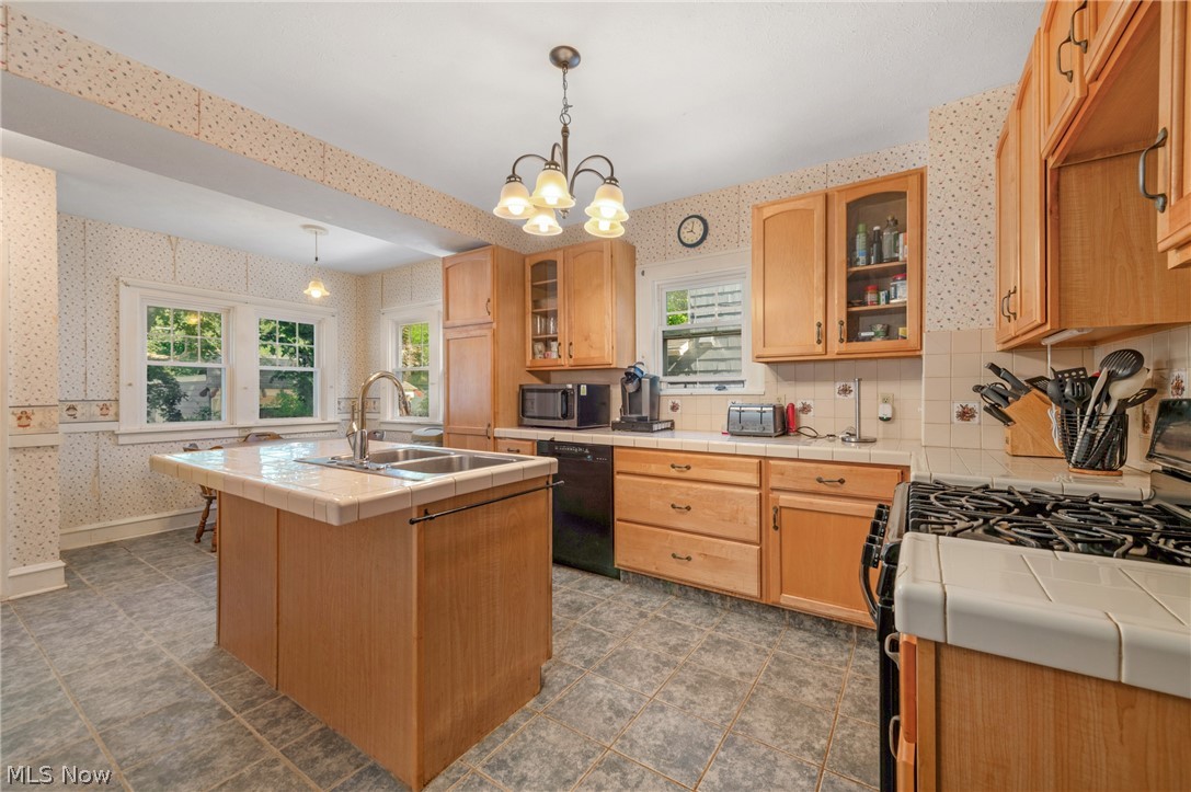 1224 Chase Avenue Lakewood OH 44107