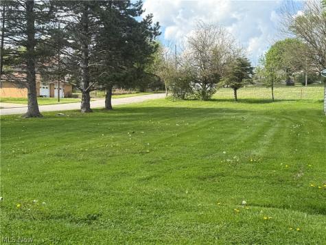 Whipple Avenue Campbell OH 44405