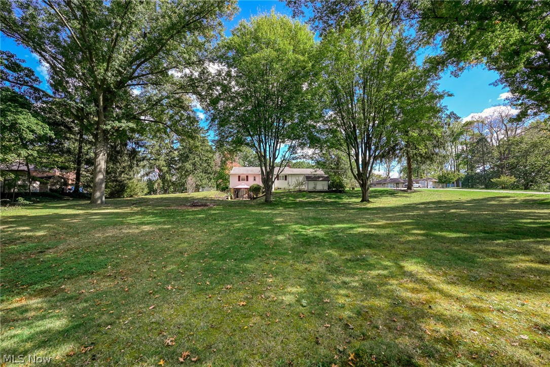 1484 Elm Grove Avenue Akron OH 44312