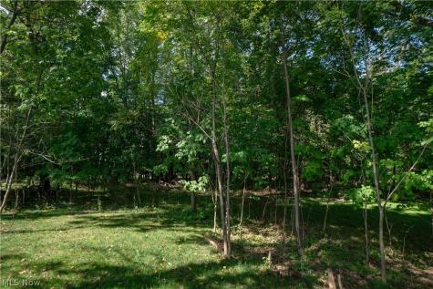 97 Nottingham Street Tallmadge OH 44278
