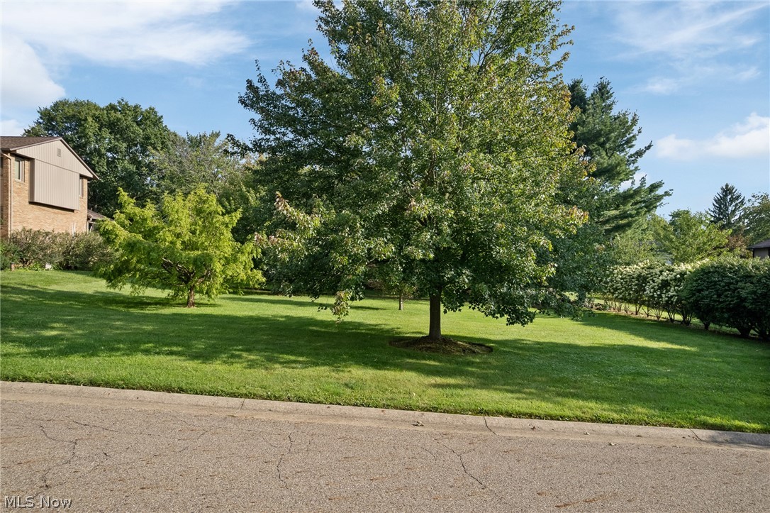 2317 Raintree Street NE Canton OH 44705