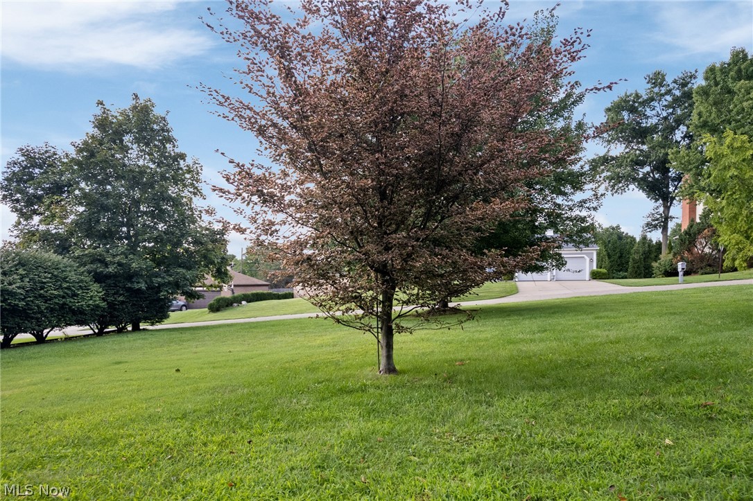 2317 Raintree Street NE Canton OH 44705
