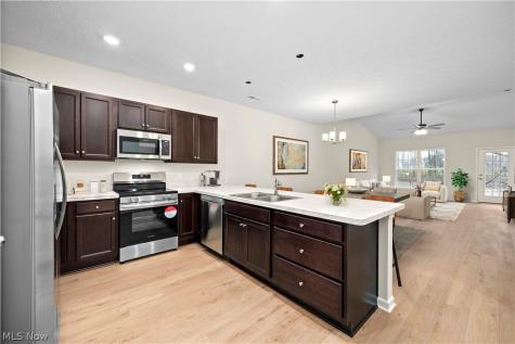 509 Eldemire Lane Elyria OH 44035