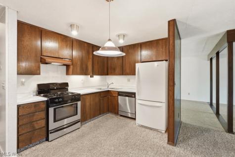 17482 Falling Water Road Strongsville OH 44136