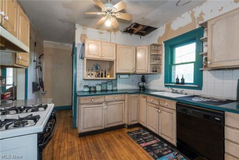 1333 Nicholson Avenue Lakewood OH 44107