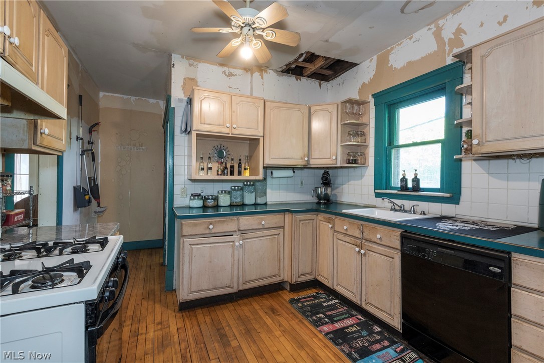 1333 Nicholson Avenue Lakewood OH 44107