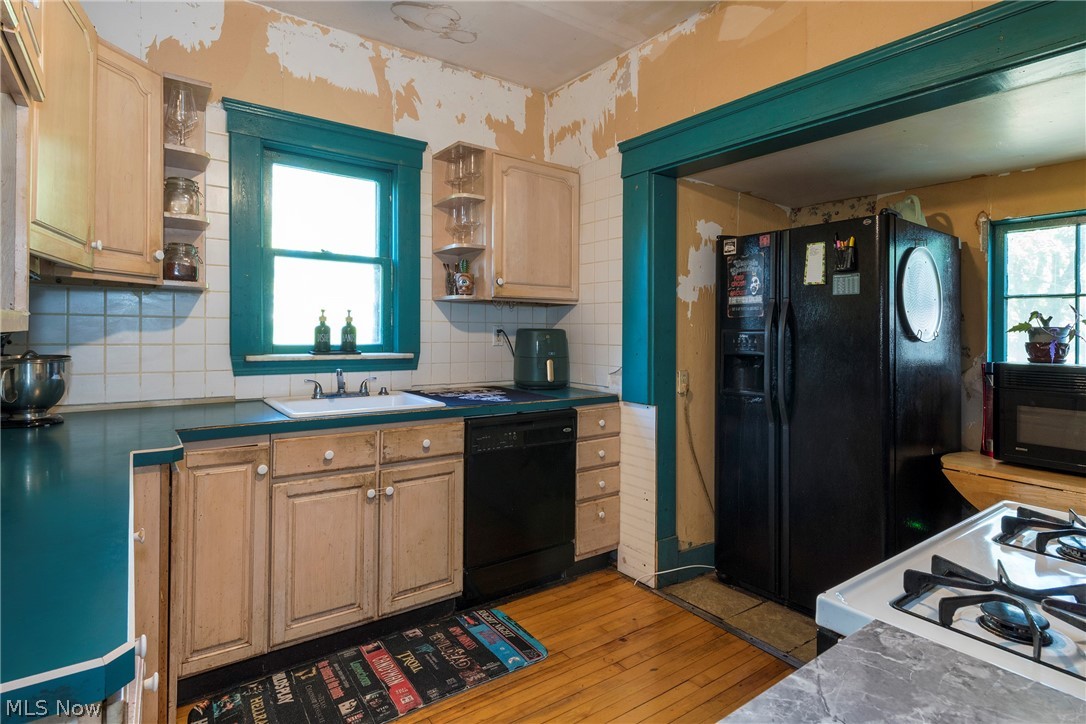 1333 Nicholson Avenue Lakewood OH 44107