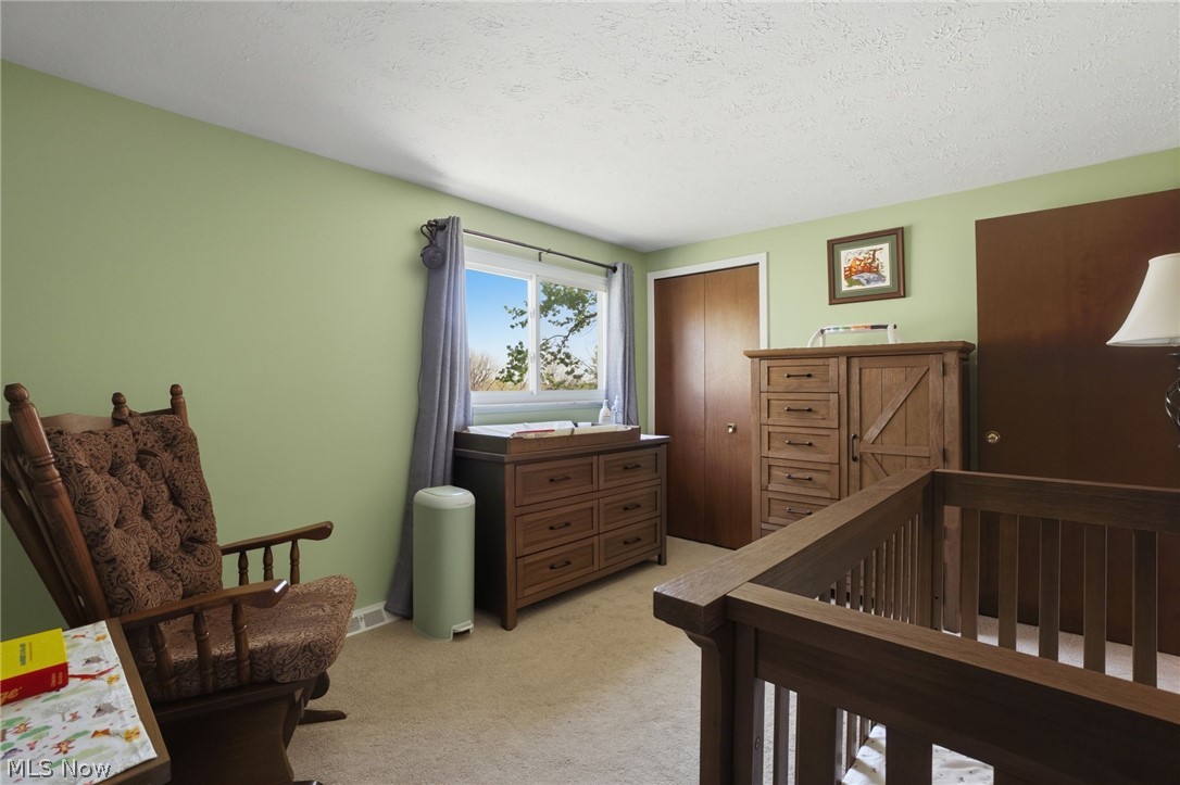 1876 Laurel Drive Twinsburg OH 44087