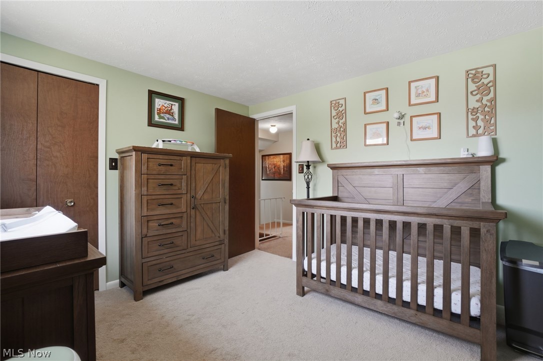 1876 Laurel Drive Twinsburg OH 44087