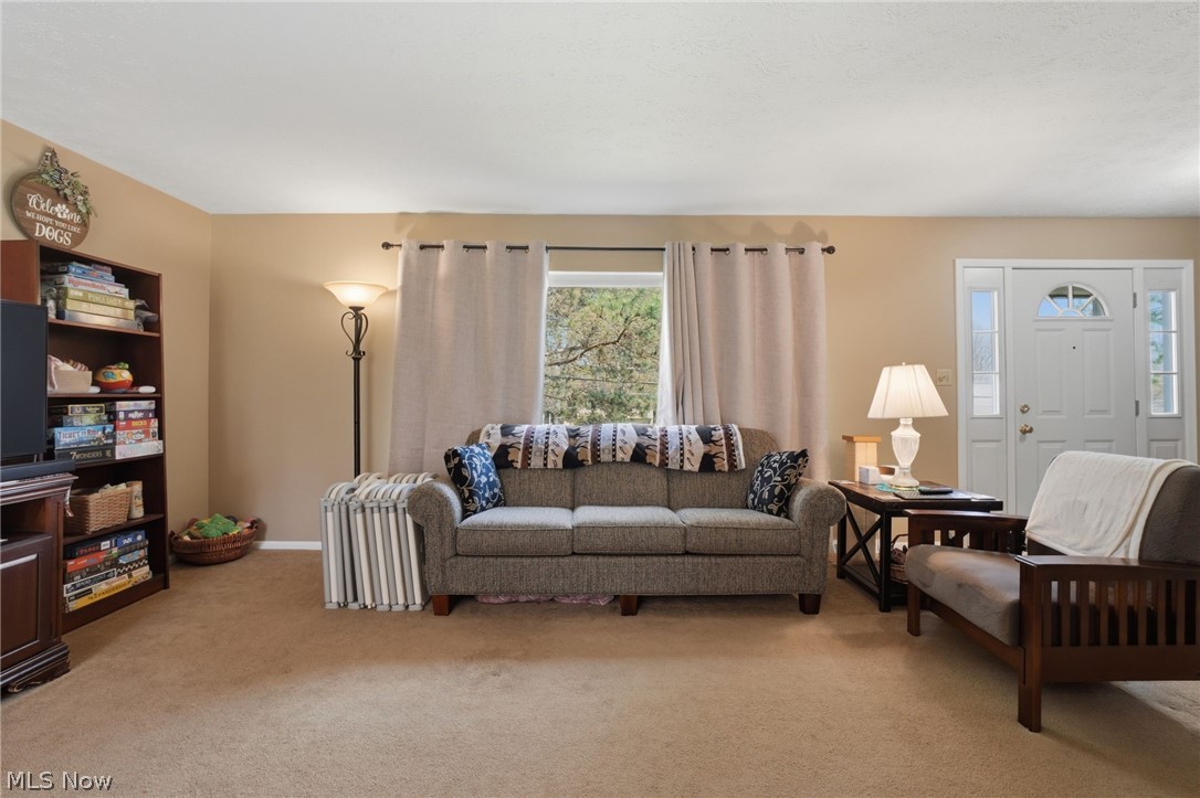 1876 Laurel Drive Twinsburg OH 44087