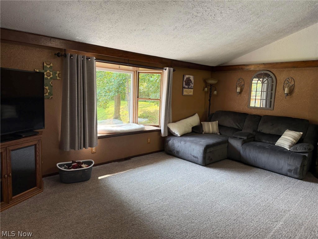 132 Valley Drive Richmond OH 43944