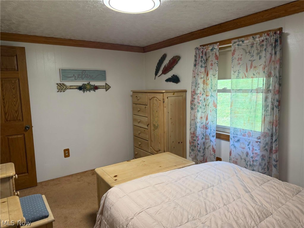 132 Valley Drive Richmond OH 43944