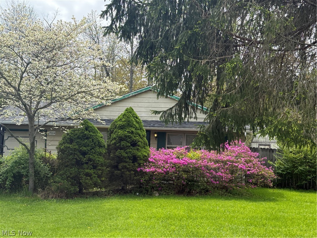 7004 Roe Boulevard Madison OH 44057