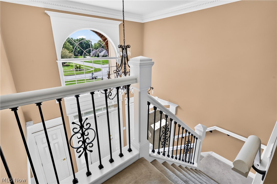 62 Pinecone Road Canfield OH 44406
